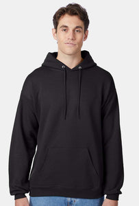 Hanes Hooded Sweatshirt - P170 Black & Blues