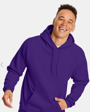 Hanes Hooded Sweatshirt - P170 Black & Blues