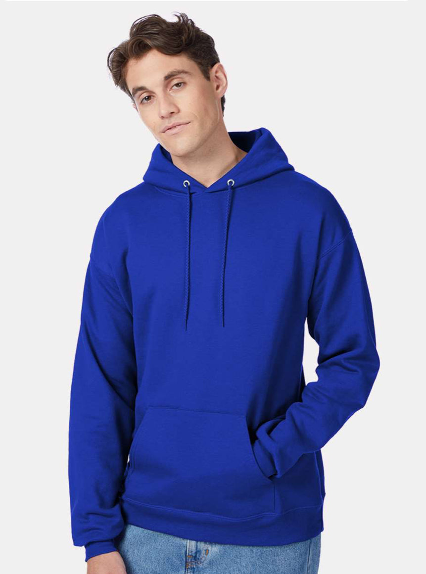 Hanes Hooded Sweatshirt - P170 Black & Blues