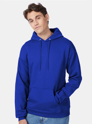 Hanes Hooded Sweatshirt - P170 Black & Blues