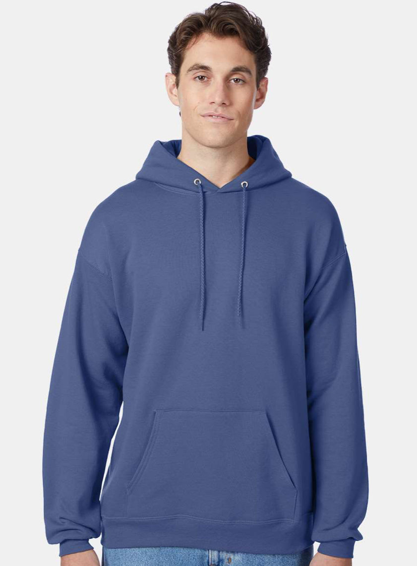 Hanes Hooded Sweatshirt - P170 Black & Blues