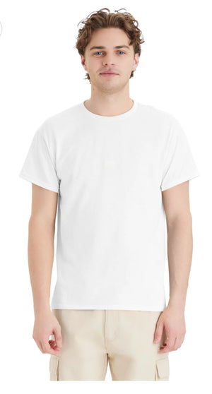 Hanes 5150 EcoSmart 50/50 Blend T-Shirts Whites/Greys/Yellows