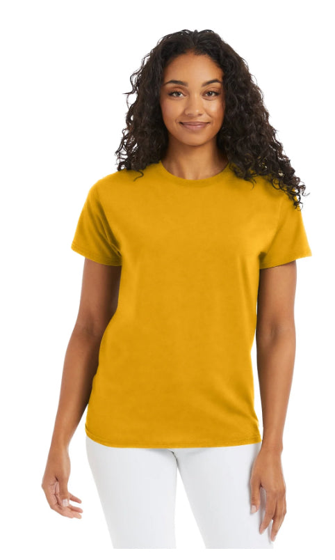 Hanes 5150 EcoSmart 50/50 Blend T-Shirts Whites/Greys/Yellows