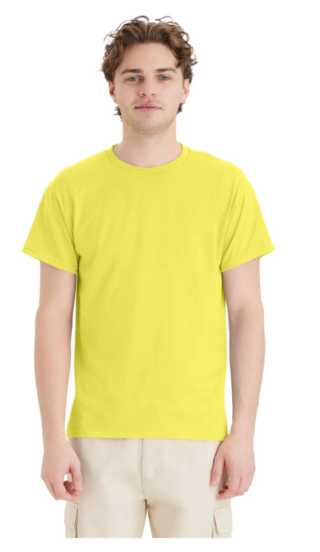 Hanes 5150 EcoSmart 50/50 Blend T-Shirts Whites/Greys/Yellows