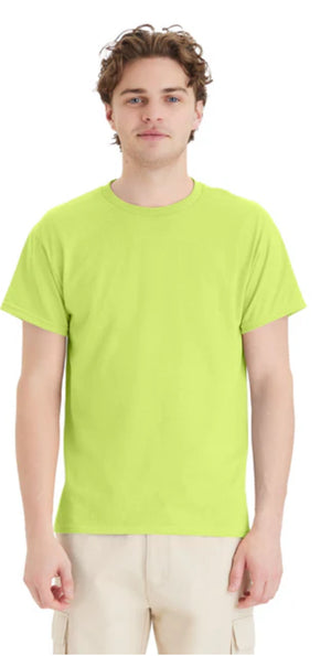 Hanes 5150 EcoSmart 50/50 Blend T-Shirts Red/Greens Colors
