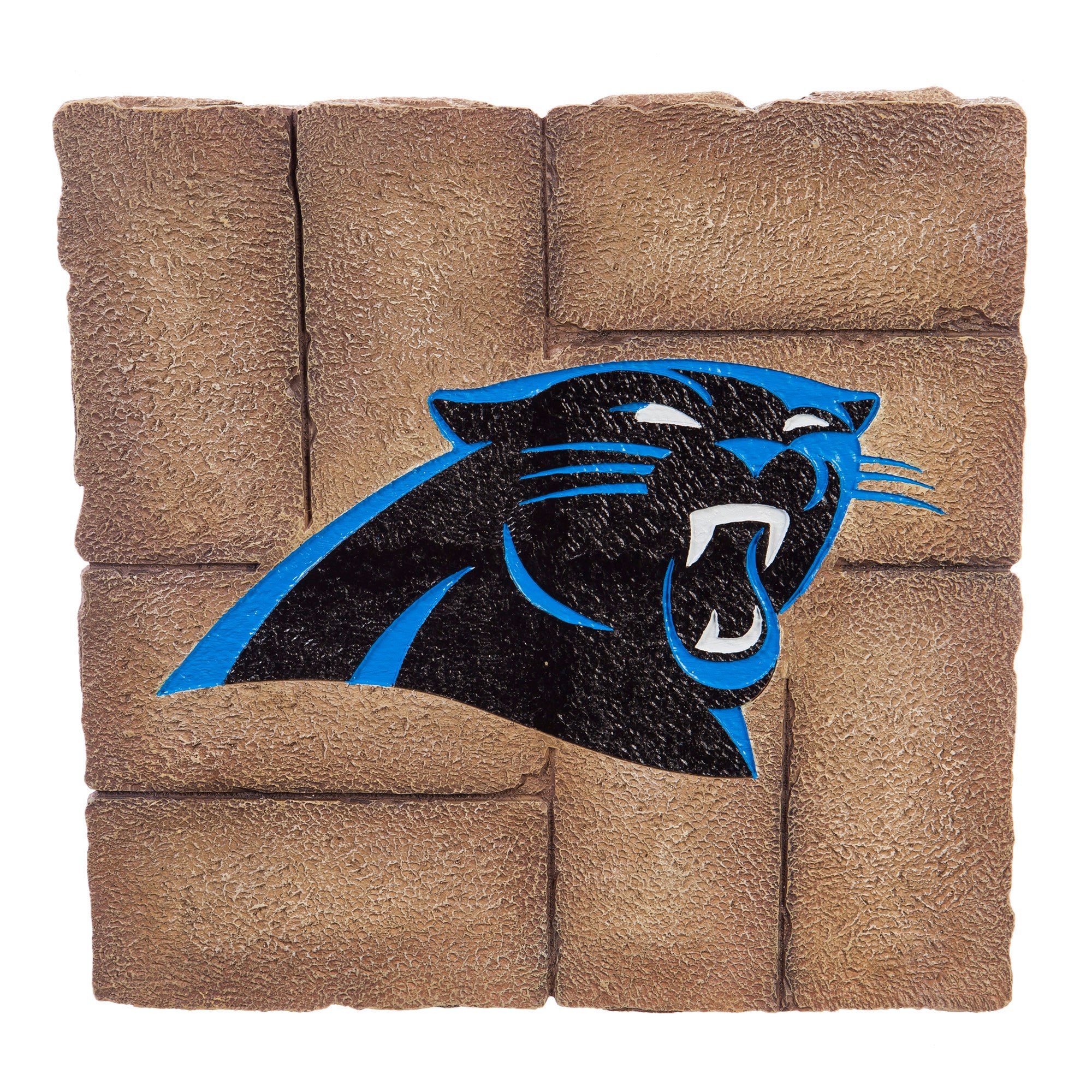 Carolina Panthers Team Stepping Stone - AtlanticCoastSports