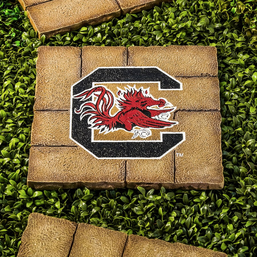 South Carolina Gamecocks Team Stepping Stone - AtlanticCoastSports
