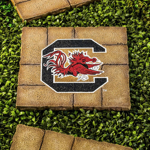 South Carolina Gamecocks Team Stepping Stone - AtlanticCoastSports