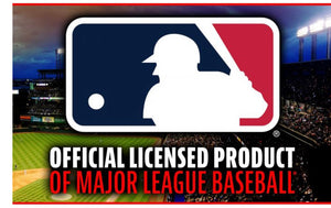 Washington Nationals MLB® Team Glove and Ball Set - AtlanticCoastSports